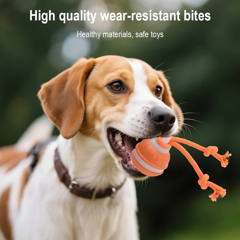 Smart Pet Interactive Ball - Automatic Rolling Toy