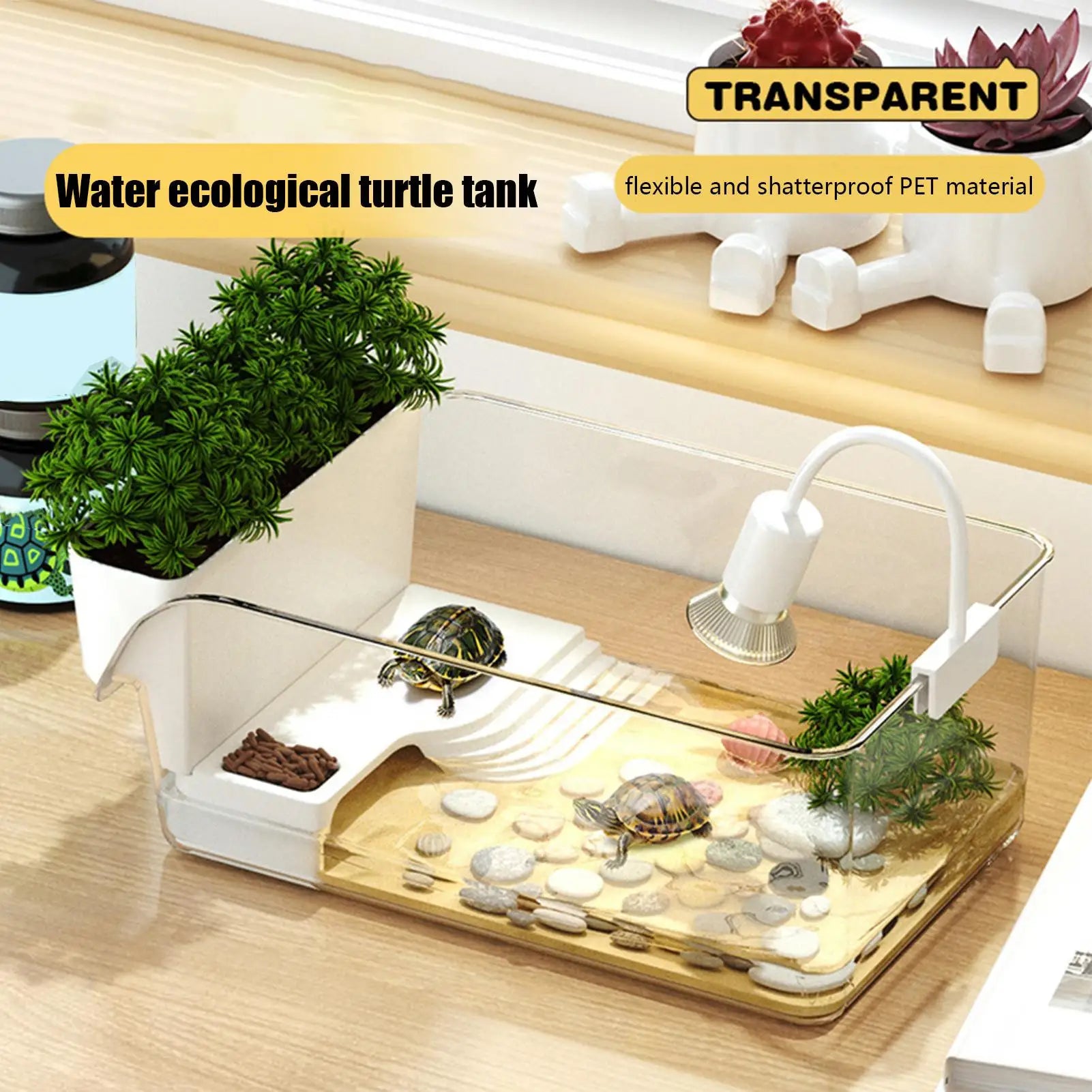 Transparent Turtle Tank with Built-In Basking Area