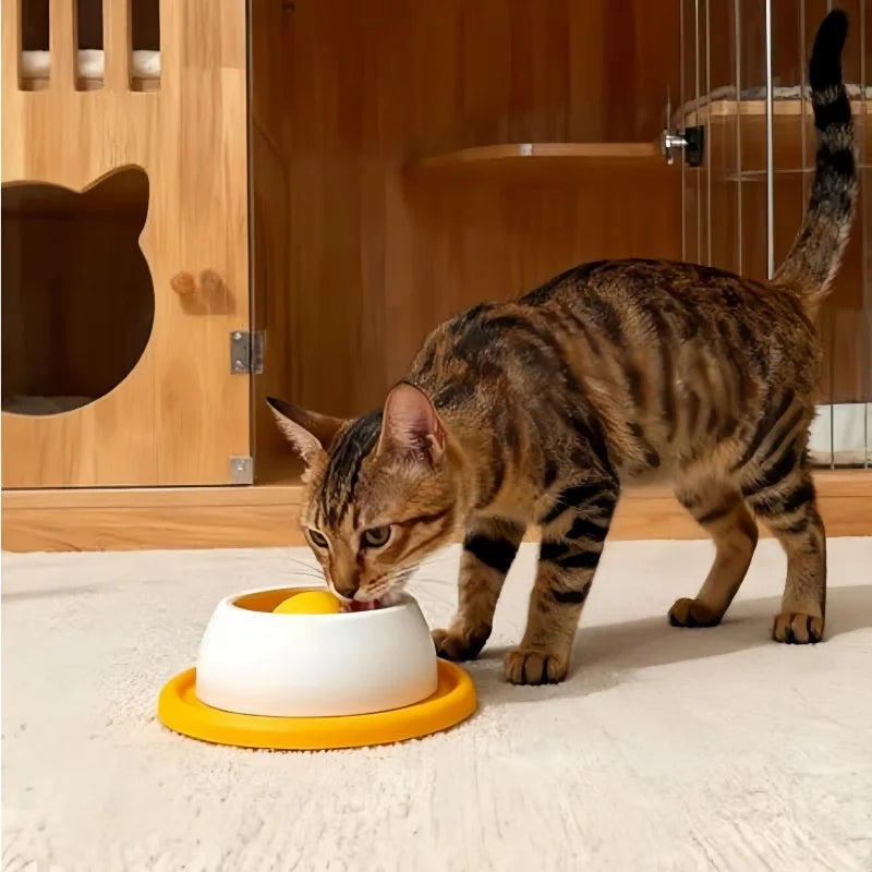 Dog Puzzle Treat Toy - Slow Feeder for Healthy Eating