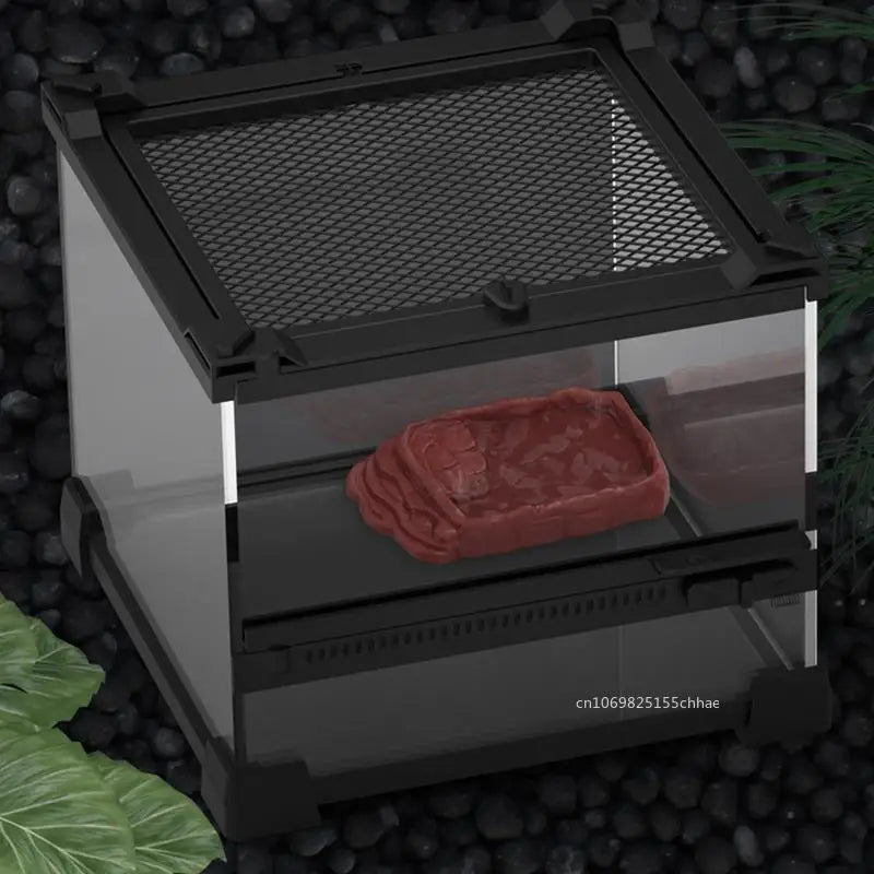 Turtle Water Dish with Anti-Slip Rock Ladder