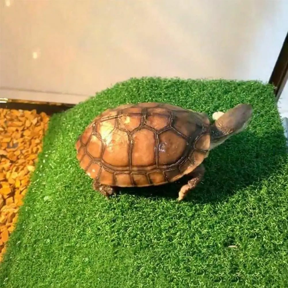 Turtle Basking Platform with Simulation Grass Ramp