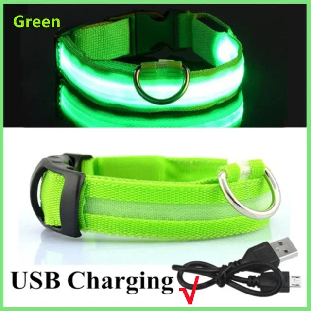 LED Glowing Dog Collar - Rechargeable & Adjustable