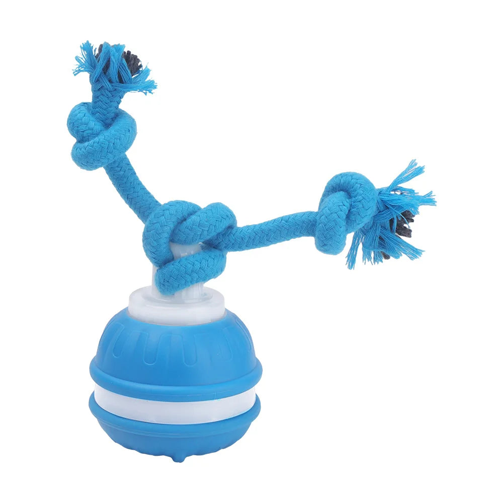 Smart Pet Interactive Ball - Automatic Rolling Toy