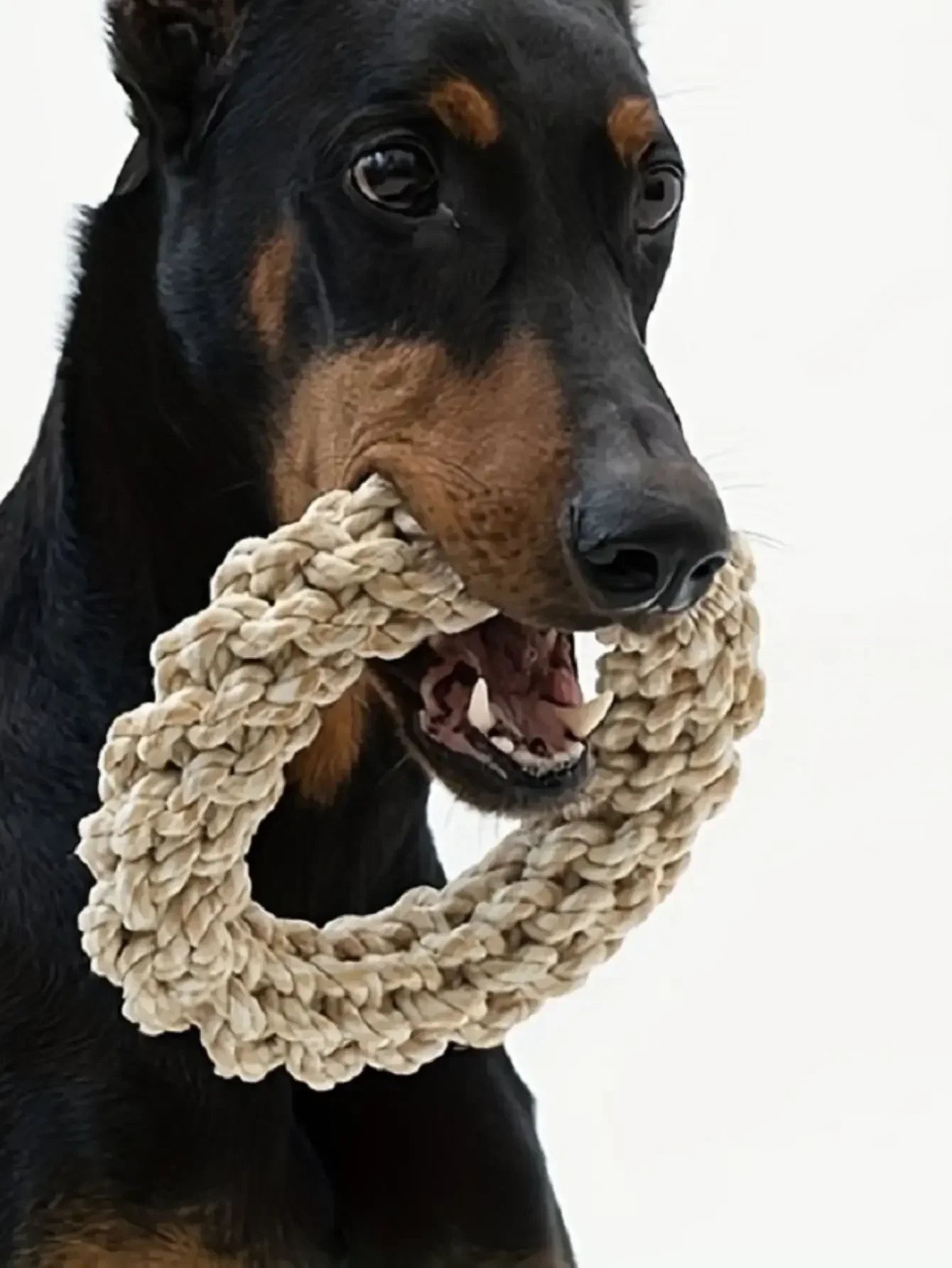 Dog Rope Chew Toy - Durable for Medium & Large Dogs