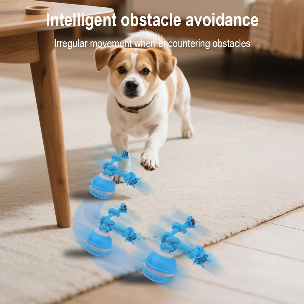 Smart Pet Interactive Ball - Automatic Rolling Toy