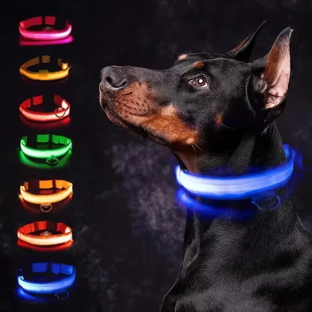 LED Glowing Dog Collar - Rechargeable & Adjustable