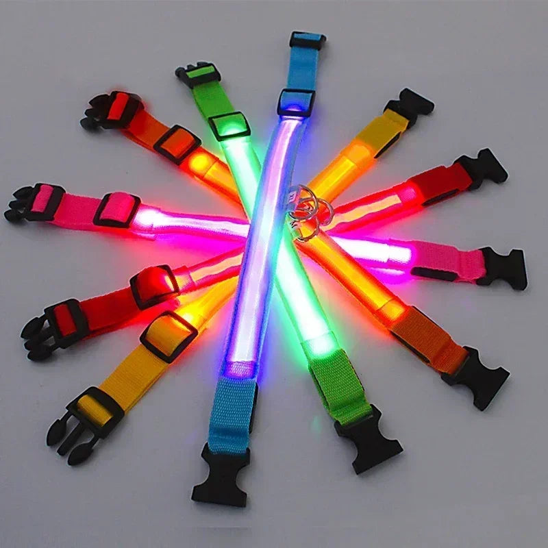 LED Glowing Dog Collar - Rechargeable & Adjustable