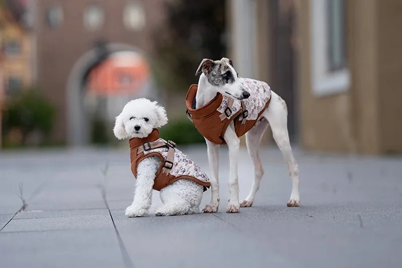 Winter Dog Jacket with Harness - Water Repellent & Reflective