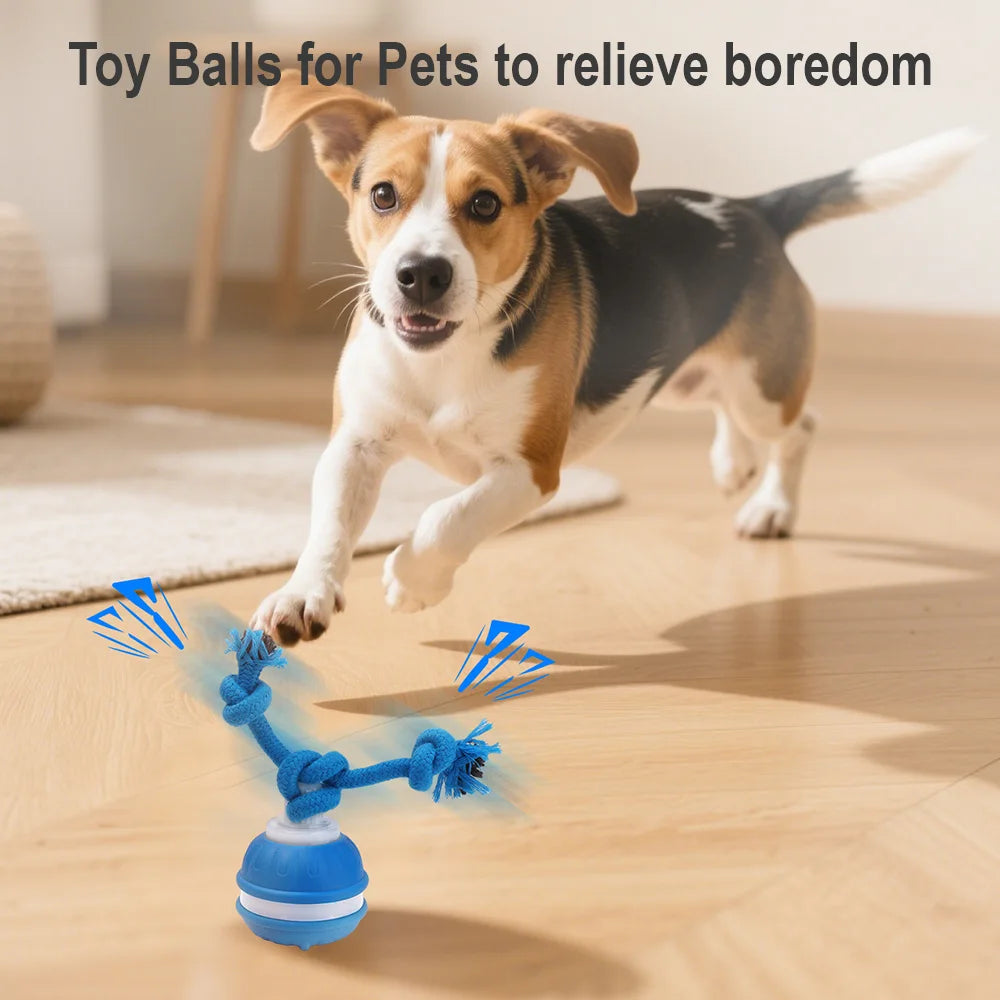 Smart Pet Interactive Ball - Automatic Rolling Toy
