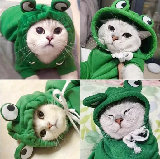 1PC  Cute Frog Design Dog/Cat Hoodie - Winter Warm Pet Hoodie with Velvet