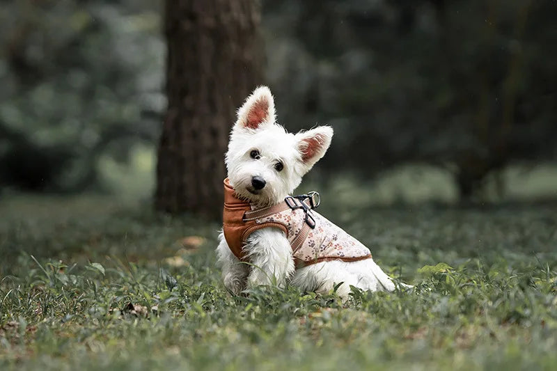 Winter Dog Jacket with Harness - Water Repellent & Reflective