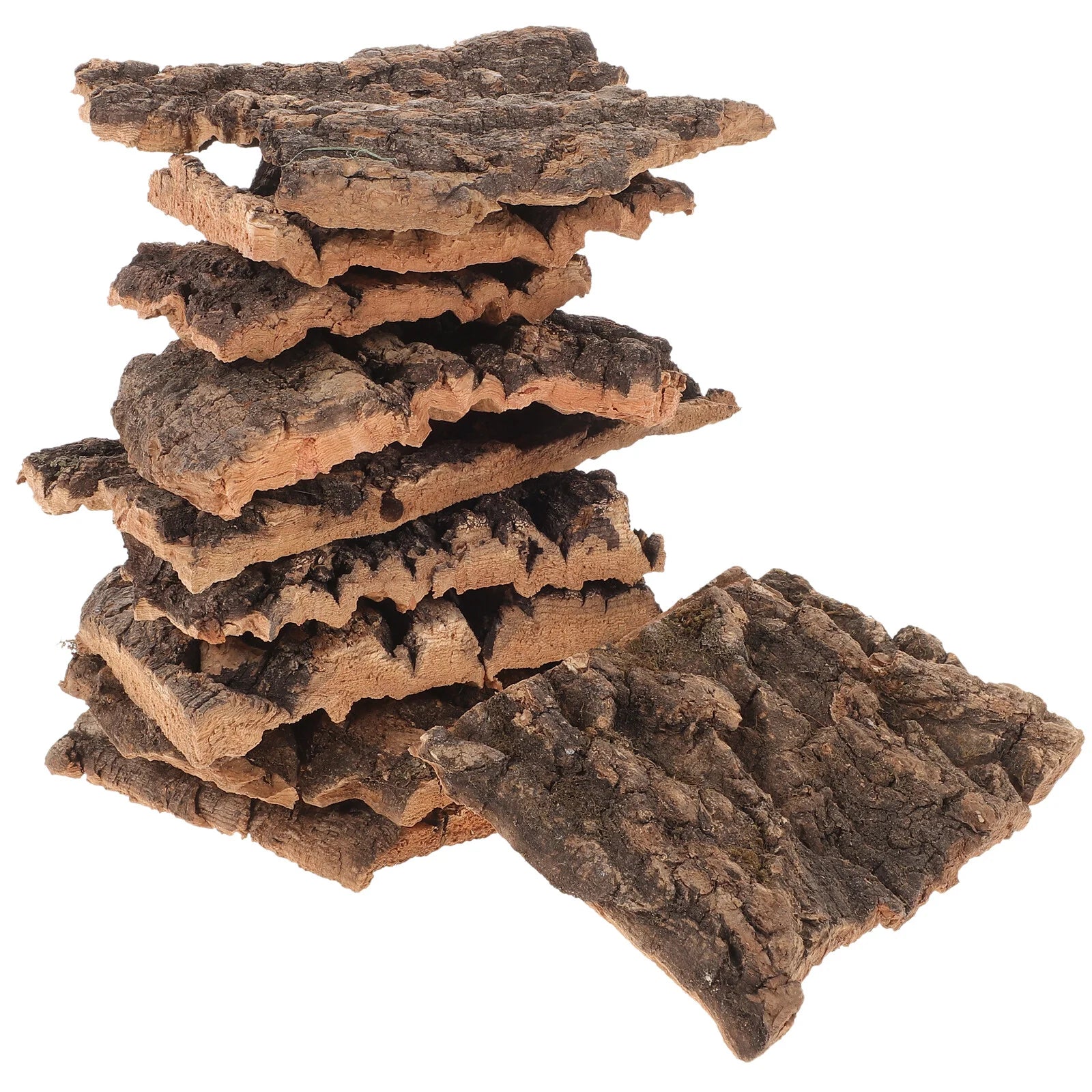 Natural Tree Bark Decor for Reptile Habitats (10 Pieces)