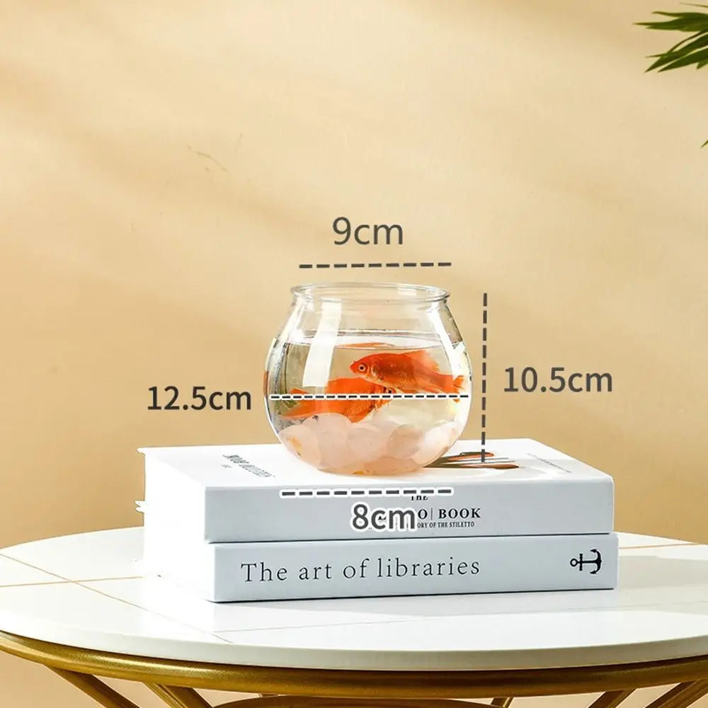 Small Glass Fish Bowl Aquarium