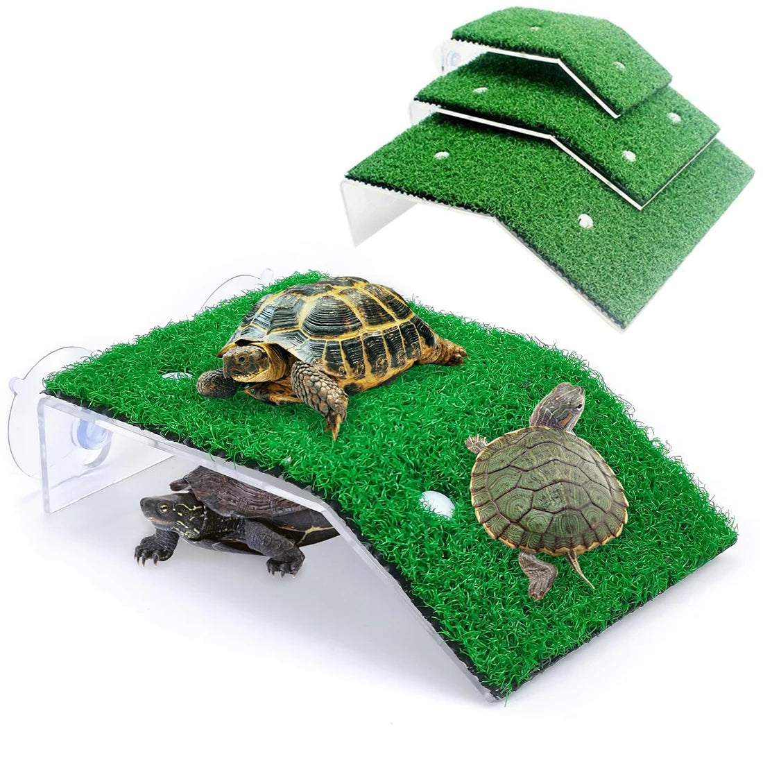 Turtle Basking Platform with Simulation Grass Ramp