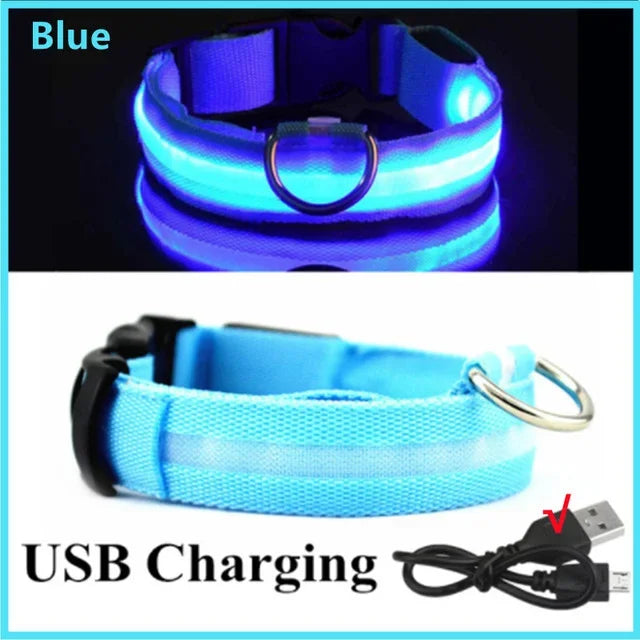 LED Glowing Dog Collar - Rechargeable & Adjustable