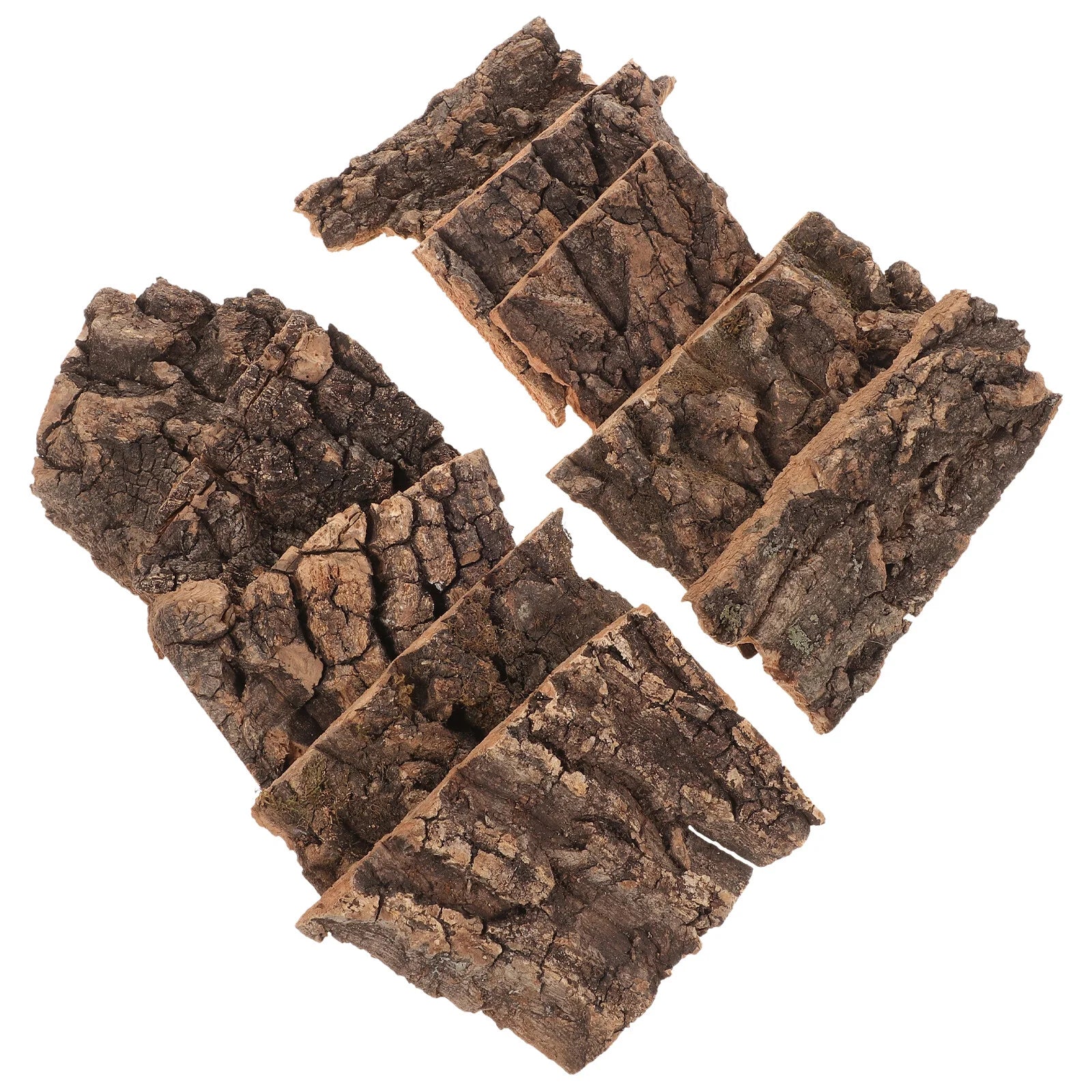 Natural Tree Bark Decor for Reptile Habitats (10 Pieces)