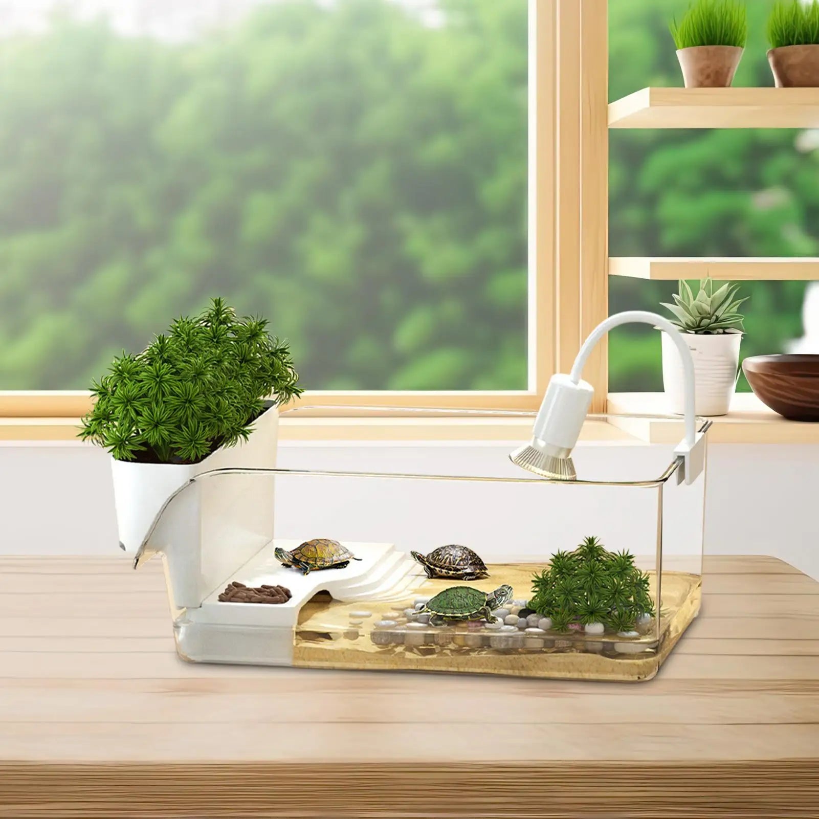 Transparent Turtle Tank with Built-In Basking Area