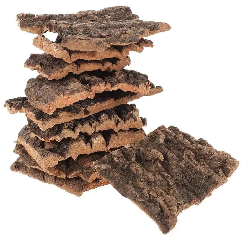 Natural Tree Bark Decor for Reptile Habitats (10 Pieces)