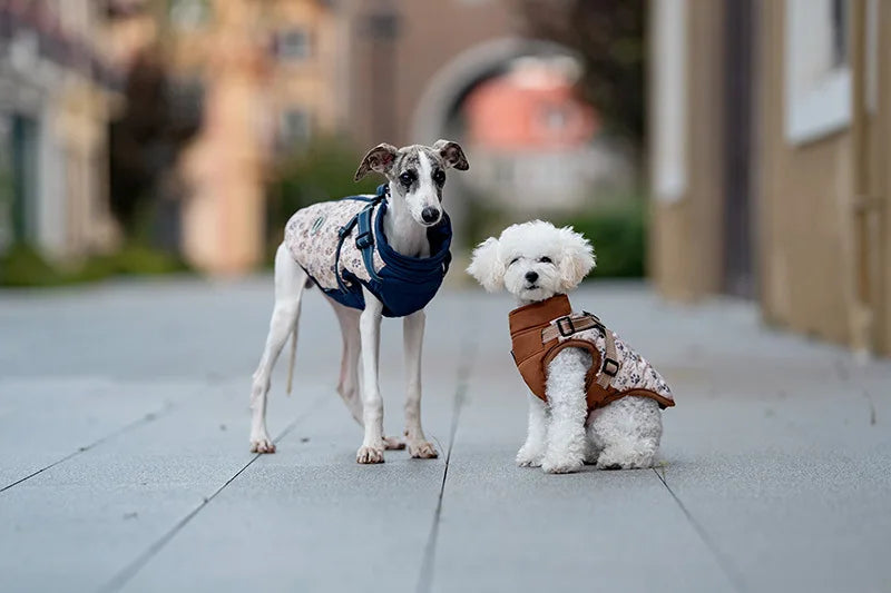 Winter Dog Jacket with Harness - Water Repellent & Reflective