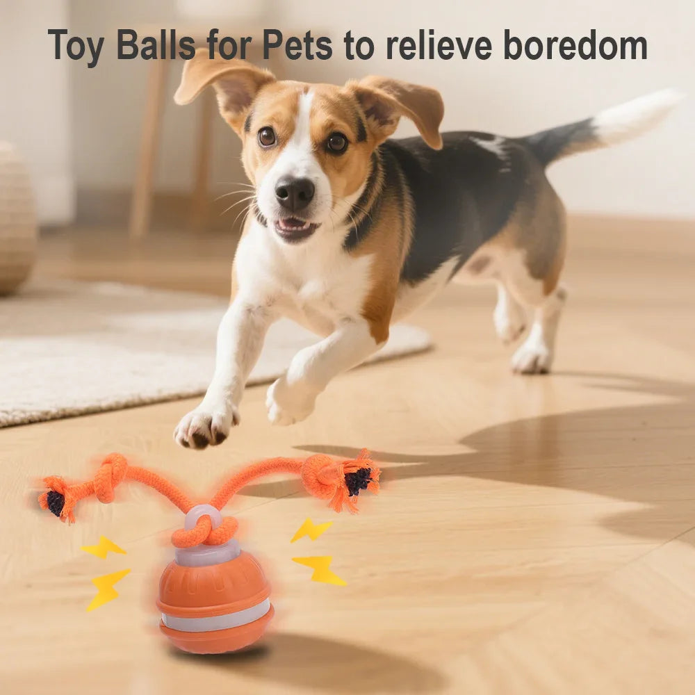 Smart Pet Interactive Ball - Automatic Rolling Toy
