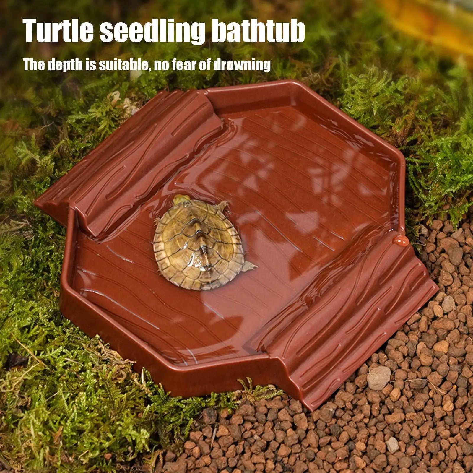 2-in-1 Turtle Water Bowl with Anti-Slip Ramp