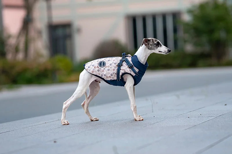 Winter Dog Jacket with Harness - Water Repellent & Reflective