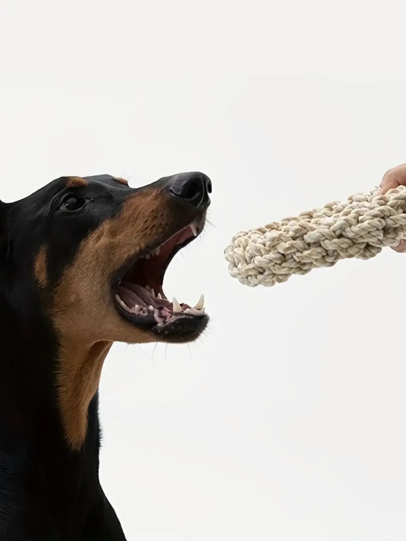 Dog Rope Chew Toy - Durable for Medium & Large Dogs