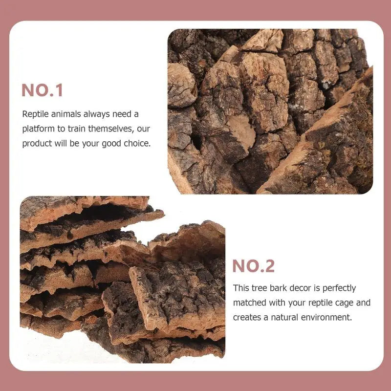 Natural Tree Bark Decor for Reptile Habitats (10 Pieces)