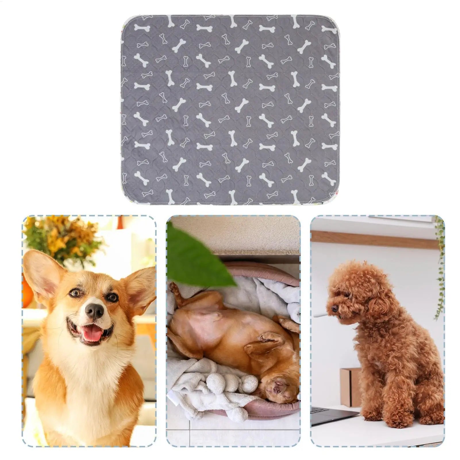 Dog Training Pads - Non-Slip & Leak-Proof