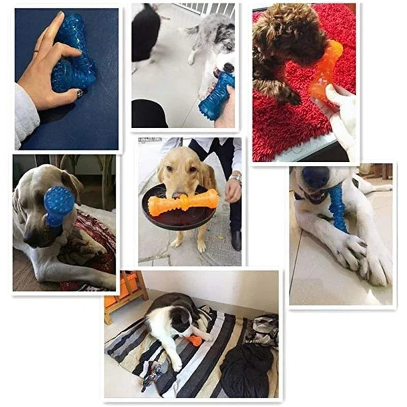 Dog Toothbrush Chew Toy - Bite-Resistant Rubber Bone