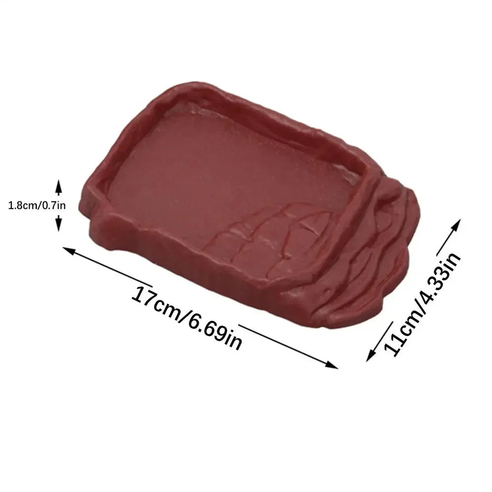 Turtle Water Dish with Anti-Slip Rock Ladder