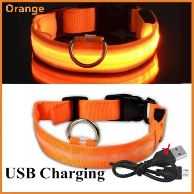 LED Glowing Dog Collar - Rechargeable & Adjustable