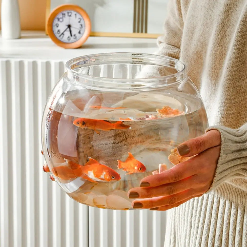 Small Glass Fish Bowl Aquarium