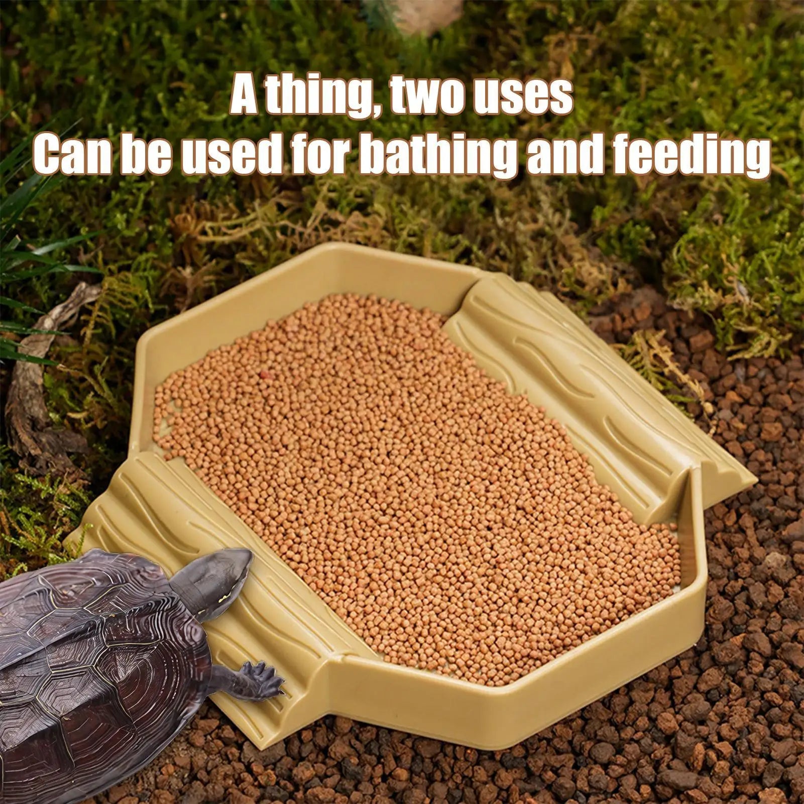 2-in-1 Turtle Water Bowl with Anti-Slip Ramp
