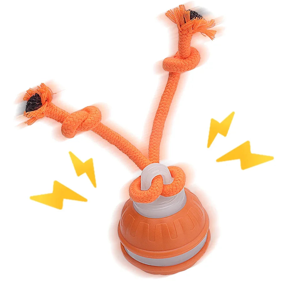 Smart Pet Interactive Ball - Automatic Rolling Toy