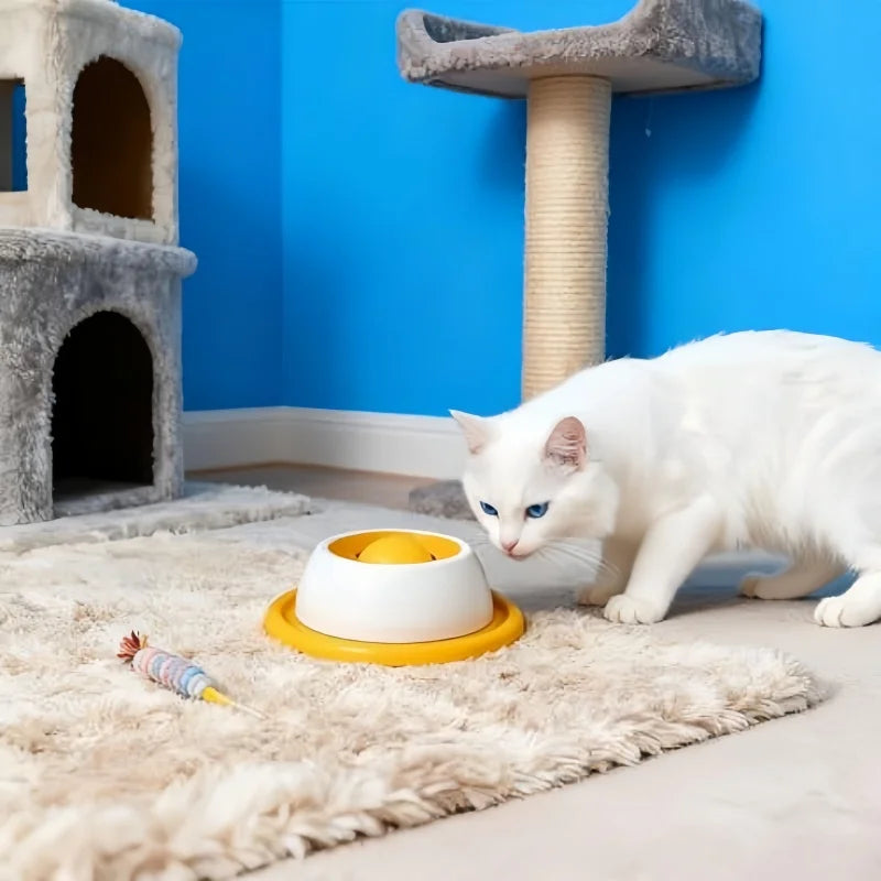 Dog Puzzle Treat Toy - Slow Feeder for Healthy Eating