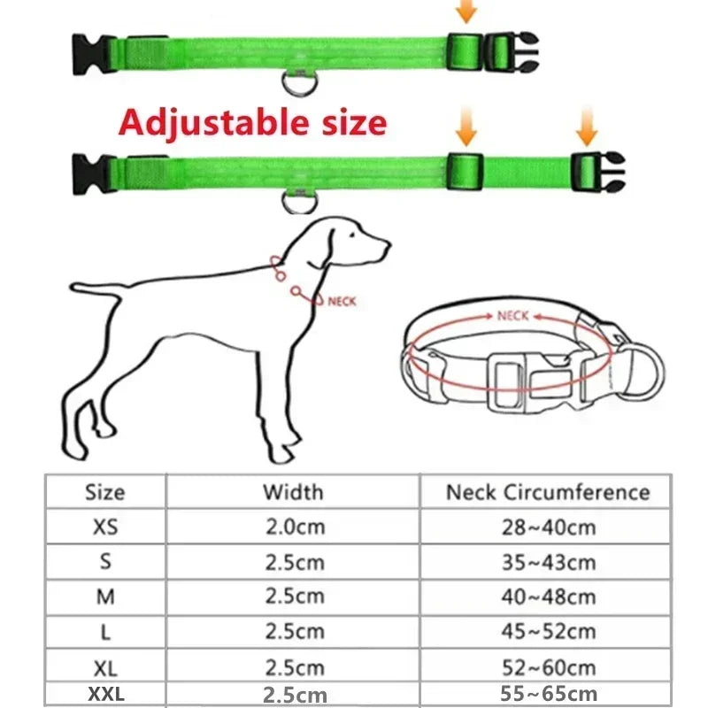 LED Glowing Dog Collar - Rechargeable & Adjustable