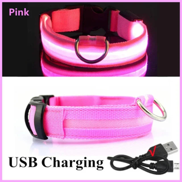 LED Glowing Dog Collar - Rechargeable & Adjustable