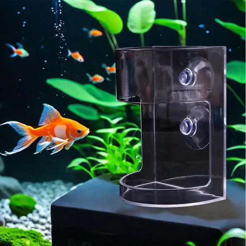 Floating Fish Feeder Bowl with Suction Cup