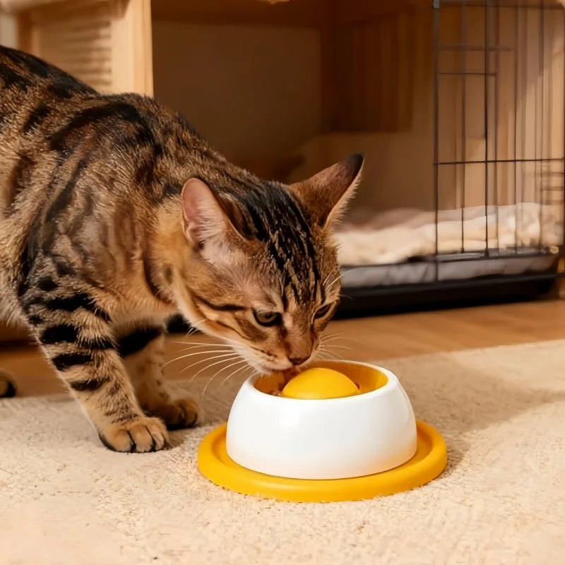 Dog Puzzle Treat Toy - Slow Feeder for Healthy Eating