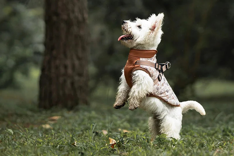 Winter Dog Jacket with Harness - Water Repellent & Reflective