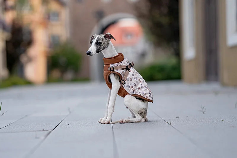 Winter Dog Jacket with Harness - Water Repellent & Reflective