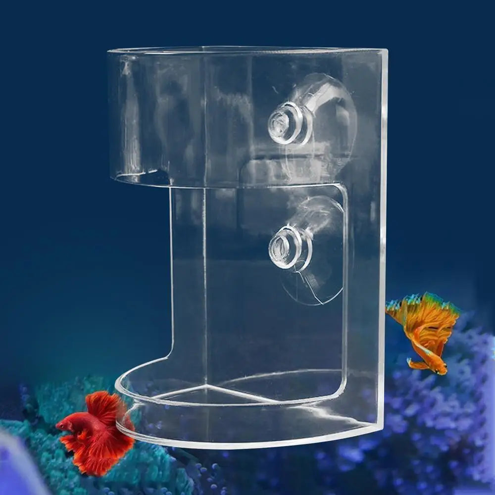 Floating Fish Feeder Bowl with Suction Cup