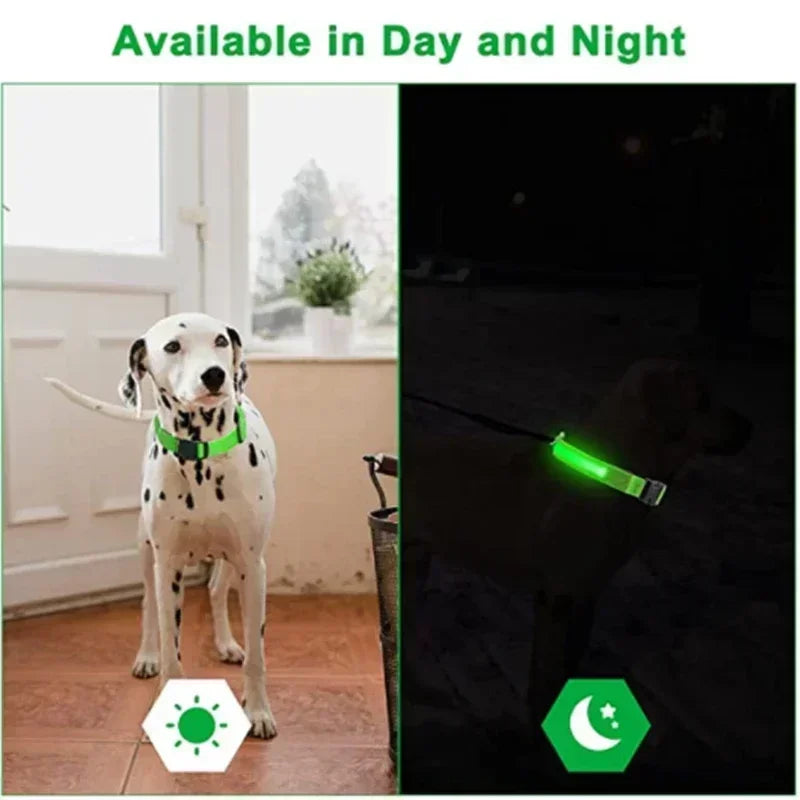 LED Glowing Dog Collar - Rechargeable & Adjustable