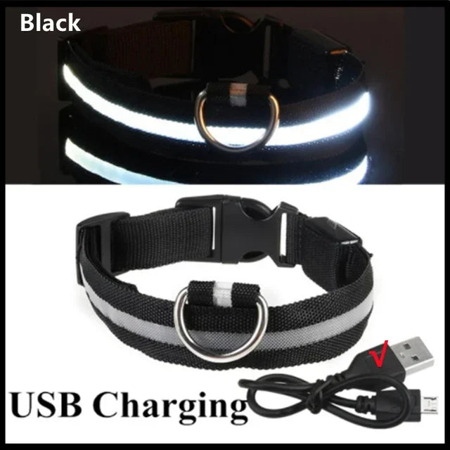 LED Glowing Dog Collar - Rechargeable & Adjustable