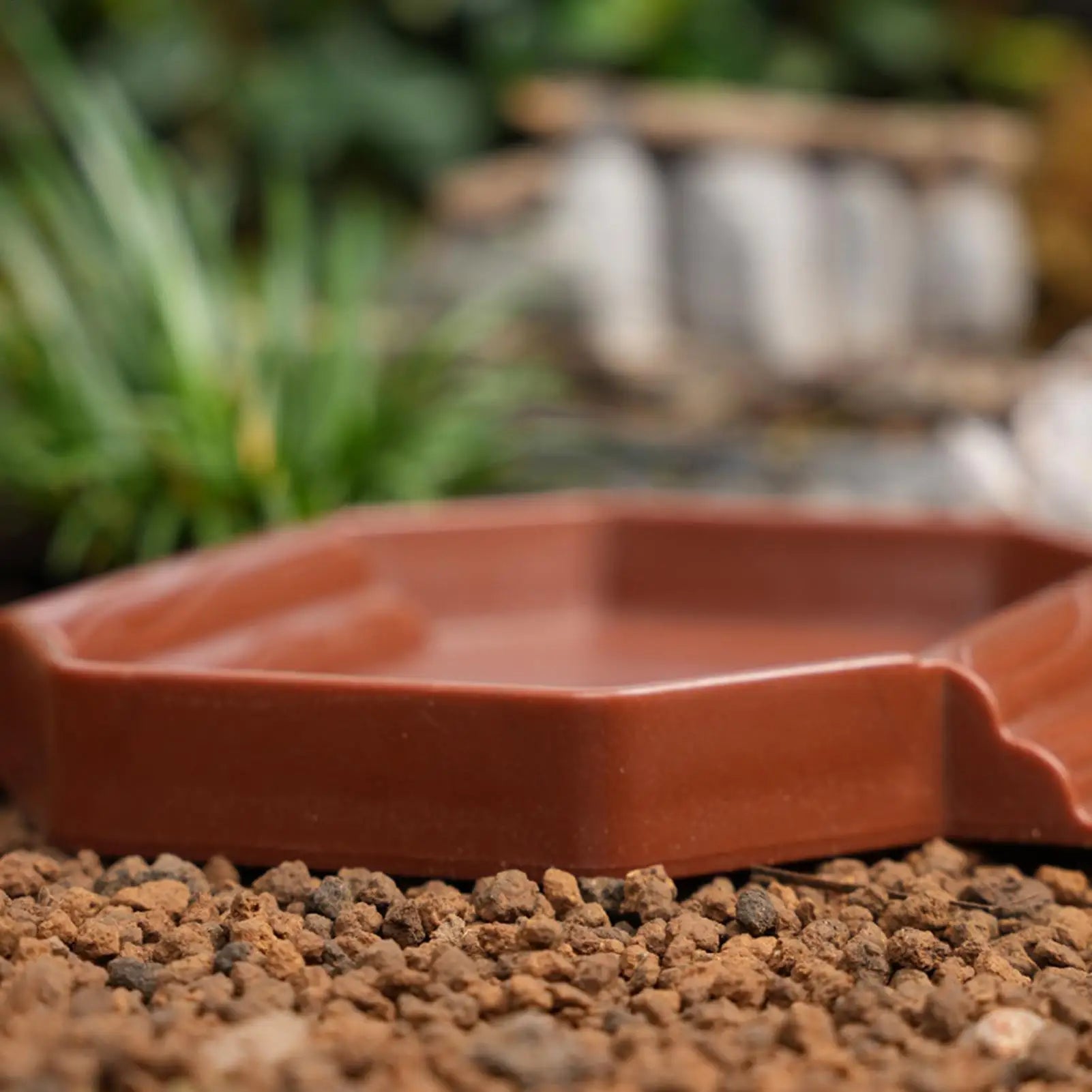 2-in-1 Turtle Water Bowl with Anti-Slip Ramp